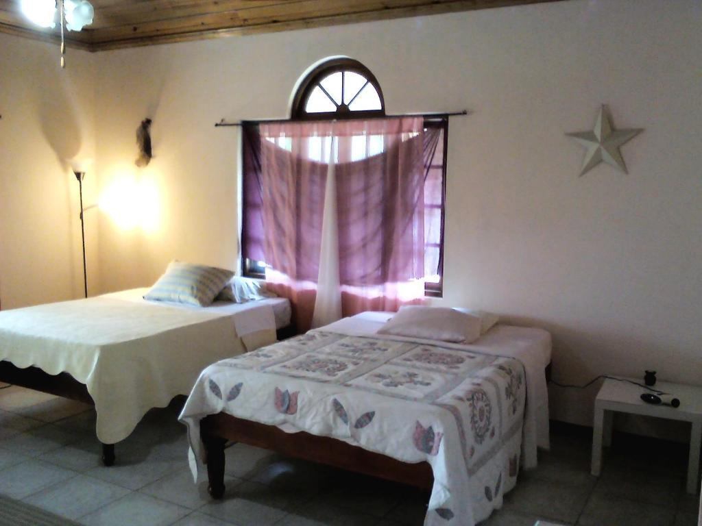 Dolphin Bay Yoga Guest House Drapers Esterno foto