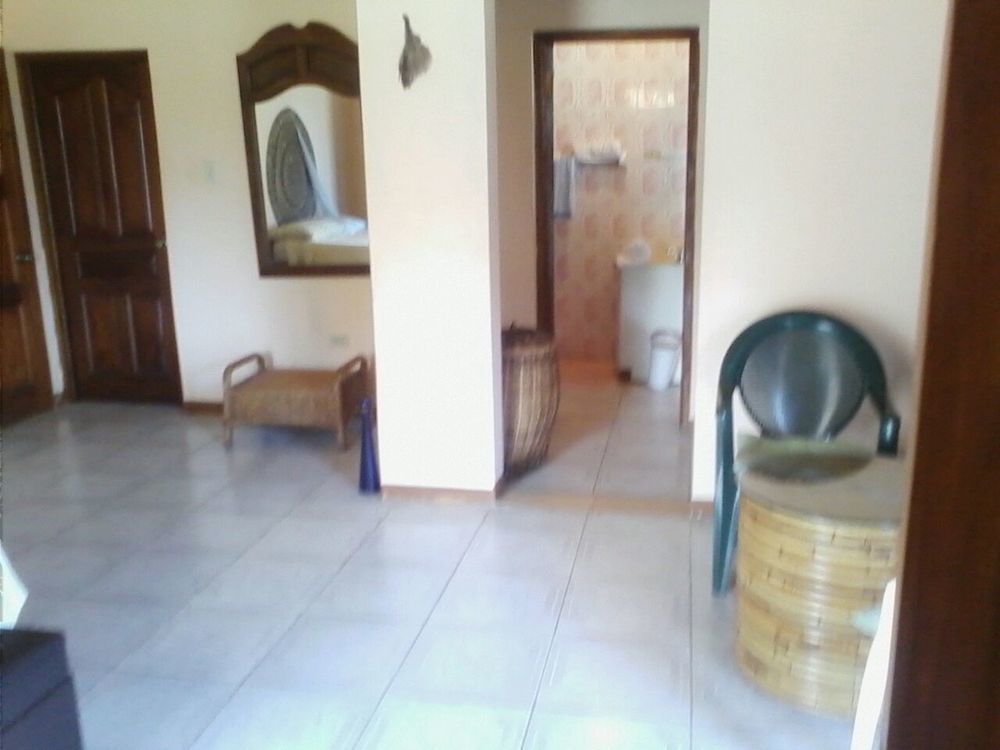 Dolphin Bay Yoga Guest House Drapers Esterno foto